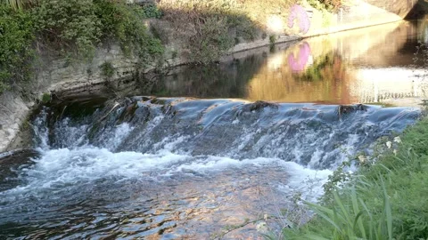 River water runs down a small waterfall on a sunny day. 動画素材 154191543