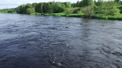 River water runs fast Stock Footage 145348514