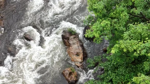 River water rushing over rocks through dense green tropical forest Stock Footage 340814037