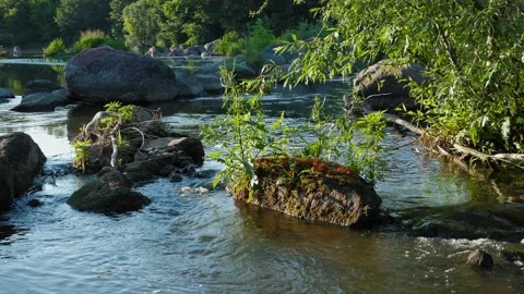 River water slow motion Stock Footage 202088223