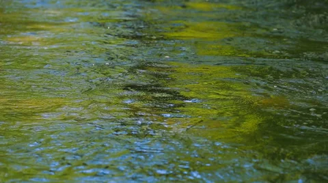 River Water Slowly Flowing Video stock 46326014