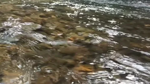 River Water Stream 011p Stock Footage 171465920