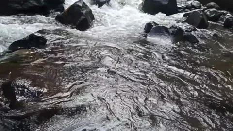 River Water Stream 014p Stock Footage 171466215