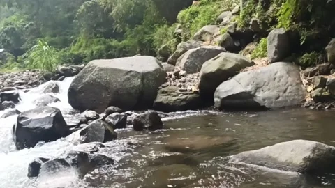 River Water Stream 015p Stock Footage 171466241