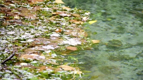 River water stream flowing through the rocks in Spain, Video stock 117940481