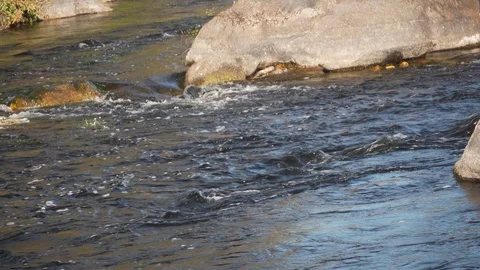 River water stream Stock Footage 117910454