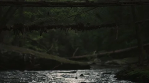 River Water Stream Vídeo Stock 132904687