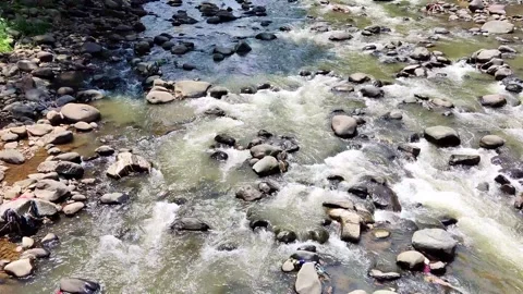 River Water Stream Stock Footage 291685816