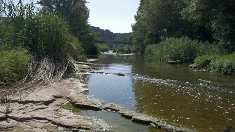 River water stream llobregat summer fresh current bridge nature Stock Footage 113113324