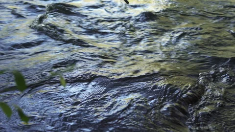 River water at sunset Vidéo 250177821