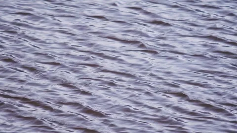 River - water surface - flowing Stock Footage 259542784