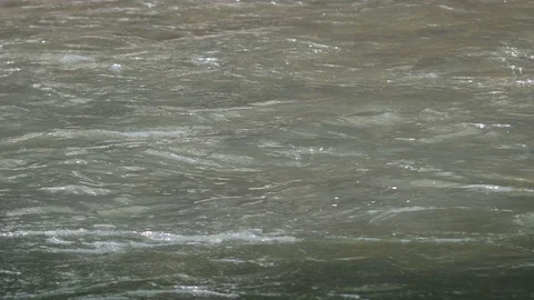 River Water surface Stock Footage 79011224