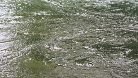 River Water surface Stock Footage 79020970