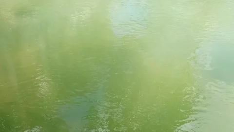 River water surface Video stock 209119846