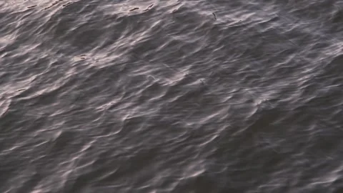 River water texture Stock Footage 244638729