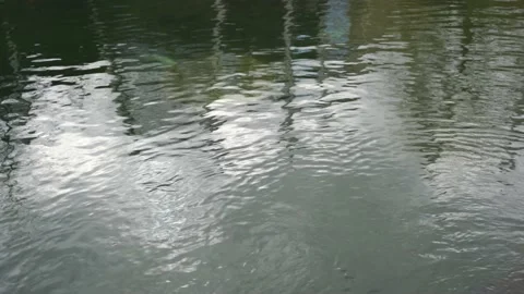 River water texture in the park. a view of the water surface Stock Footage 236994073
