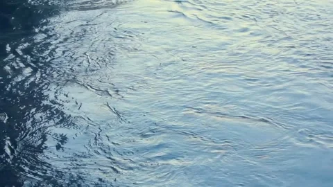 River Water Texture with Sunlight Reflections. Stock Footage 306653288