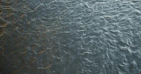 River Water Top-Down Stock Footage 185673408