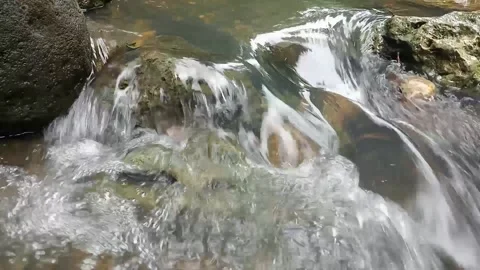 River water is very good Stock Footage 234420834