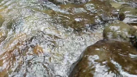 River water is very good Stock Footage 235597820