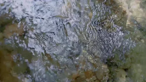 River water is very good Stock Footage 235598470