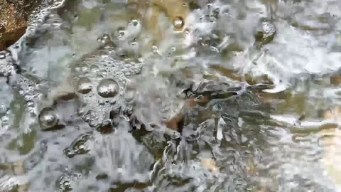 River water is very good Stock Footage 235599182