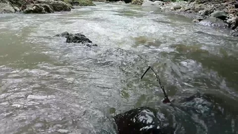 River water videos Stock Footage 236223786