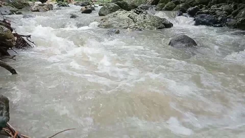 River water videos Stock Footage 236223989