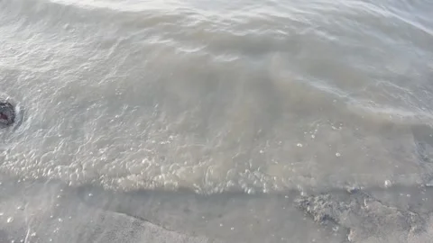 River water wave coming and going one after another  Stock Footage 205087218