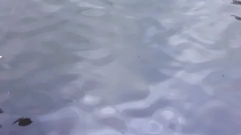 River water wave reflection ripples. Stock Footage 267118863