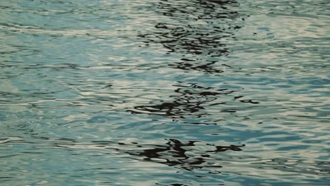 River Water with Waves and Reflection Stock Footage 214150971