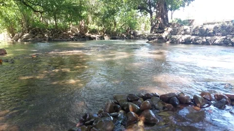 River water(1) 스톡 동영상 333903224