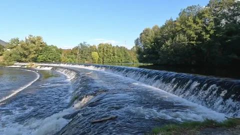 River with a waterfall and trees in the background Stock Footage 295315969