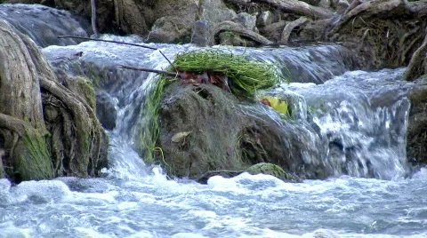River waterfall close HD Stock Footage 91889