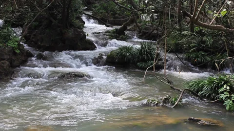 River waterfall 動画素材 32237031