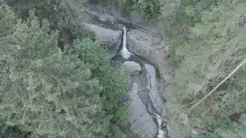 River with waterfall in the forest. Stock Footage 138354732