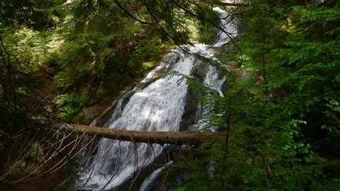 A river with a waterfall in a forest Video stock 239415050