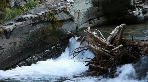 River waterfall logs Glacier NP P HD 0510 Stock Footage 10597414