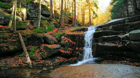 River waterfall in a mountain forest, autumn nature landscape stock video 4k. Stock Footage 249092393