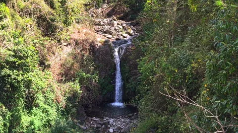 River waterfall mountain forest Himalayas Nepal. Water background HD video. Stock Footage 64827371