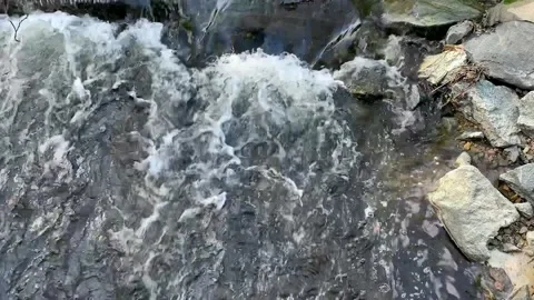 River Waterfall Stream 動画素材 186068182