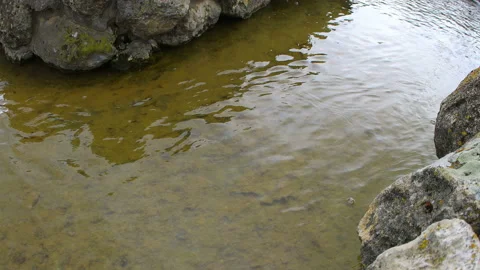 River waterfall. Water stream and rock stones. Stock Footage 153850690