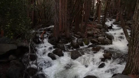 River Waterfall YOSEMITE Video stock 5903387