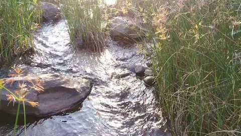 River waterflow Stock Footage 127984620