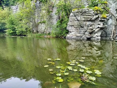 River waters in spring. Stock Photos