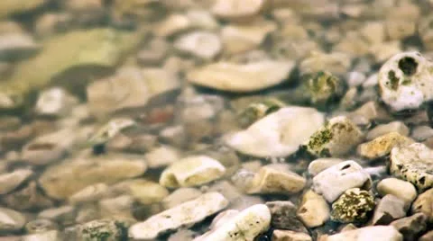 River wave 2 Stock Footage 20921700