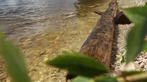 River waves breaking of bank balk Video stock 51570669
