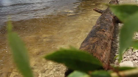 River waves breaking of bank Stock Footage 51571902