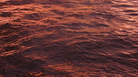 River waves colored by warm sunset light Stock Footage 346427876