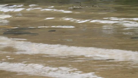 River waves flowing in a bank Stock Footage 8639910